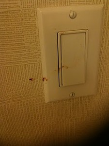 The image shows a light switch on a textured wall. The light switch plate is white, and there are some small brownish-red stains on and around the switch.