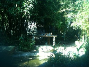 The image shows a serene outdoor scene with a wooden table placed in a lush garden. The garden is filled with various green plants and tall bamboo trees, creating a tranquil and shaded environment. Sunlight filters through the foliage, casting dappled light on the ground and the table. The overall atmosphere is peaceful and natural.