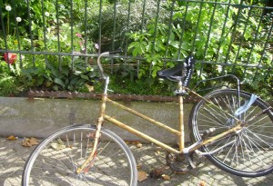 A bicycle with a rusty frame is parked against a metal fence. The background features green plants and foliage. The bicycle appears to be in a state of disrepair, with a bent front wheel and missing parts.