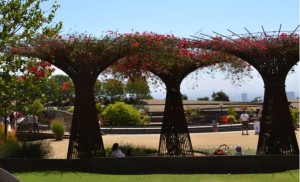 The image shows a garden scene with three large, tree-like metal structures supporting flowering vines. The structures are arranged in a row, creating a shaded area beneath them. In the background, there are various plants, trees, and people walking or sitting on benches. The sky is clear and blue, indicating a sunny day.