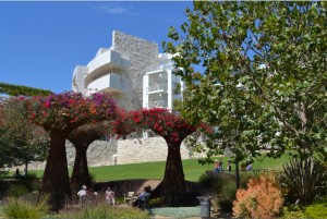 The image shows a landscaped garden with two large, tree-like structures covered in vibrant pink flowers. In the background, there is a modern building with white and stone architectural elements. The sky is clear and blue, and there are a few people visible in the garden area, enjoying the outdoor space. The garden is lush with various plants and trees, creating a serene and picturesque environment.