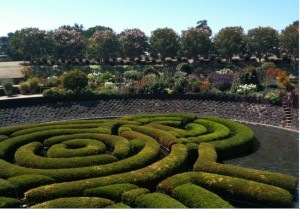 The image shows a well-maintained garden with a circular hedge maze in the foreground. The maze is composed of neatly trimmed green hedges. In the background, there are various plants and flowers, along with a row of trees. The sky is clear and blue, indicating a sunny day.