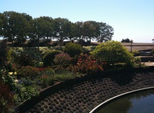 The image shows a landscaped garden with a variety of plants and flowers. In the foreground, there is a curved stone wall bordering a water feature. Behind the garden, there is a row of trees and an open field under a clear blue sky.