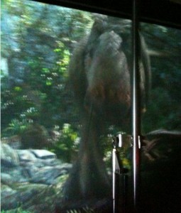 The image shows a blurry depiction of a large dinosaur, possibly a Tyrannosaurus rex, in a jungle or forest setting. The dinosaur is partially obscured by a vertical metal pole in the foreground. The background is filled with dense foliage and rocks, suggesting a prehistoric environment.