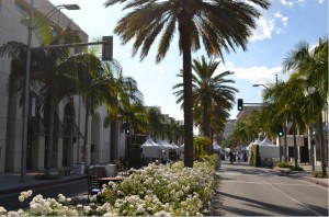 The image shows a sunny street lined with tall palm trees and white flowers in the median. There are buildings on both sides of the street, and a few people can be seen walking in the distance. The sky is clear with a few clouds, and the street appears to be clean and well-maintained. Traffic lights are visible, and there are some tents or canopies set up further down the street.