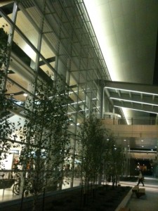 The image shows the exterior of a modern building at night. The building features large glass windows and a sleek, contemporary design with metal and concrete elements. There are several young trees planted along the walkway in front of the building, and the area is well-lit with artificial lighting. The interior of the building is visible through the glass, showing a spacious and well-lit space.