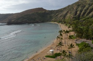 A scenic view of a beach with clear blue water and gentle waves. The shoreline is lined with palm trees and a few people can be seen walking and relaxing on the sandy beach. In the background, there are lush green hills and a partly cloudy sky. The beach appears to be in a tropical location.