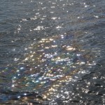 The image shows a body of water with sunlight reflecting off its surface. There is a noticeable rainbow-colored sheen on the water, indicating the presence of an oil slick. The light creates a shimmering effect on the ripples and waves.