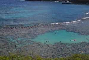 Aerial view of a coastal area with clear blue water and a coral reef. Several people are swimming and snorkeling in the shallow, turquoise water near the reef. The ocean extends into deeper blue hues further out, and there is a small wave breaking near the reef. The foreground includes some greenery.