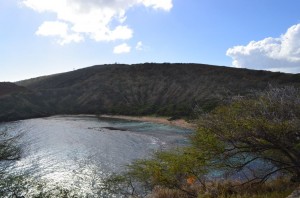 The image shows a scenic view of a coastal area with a calm bay surrounded by hills. The water in the bay is clear and reflects the sunlight. The hills are covered with sparse vegetation, and there are some trees and bushes in the foreground. The sky is mostly clear with a few scattered clouds.