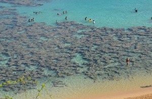 Aerial view of a beach with clear turquoise water and a sandy shore. Several people are swimming and wading in the shallow water, which has patches of coral or rocks visible beneath the surface. The beach is surrounded by natural vegetation.