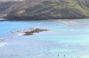 The image shows a coastal scene with clear blue water and a rocky outcrop extending into the sea. In the background, there is a hillside covered in greenery. Several people can be seen swimming and enjoying the water near the shore. The overall setting appears to be a tropical or subtropical beach.