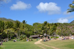 A scenic view of a tropical park with lush green grass, palm trees, and a clear blue sky with a few clouds. People are scattered around the park, some sitting on the grass and others gathered near a building in the background. The park is surrounded by hills covered in greenery.