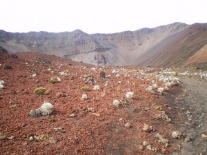 The image shows a barren, rocky landscape with sparse vegetation. The ground is covered with reddish-brown soil and scattered small plants. In the background, there are steep, rugged mountains with a mix of dark and light-colored rock formations. The sky above is clear and bright.