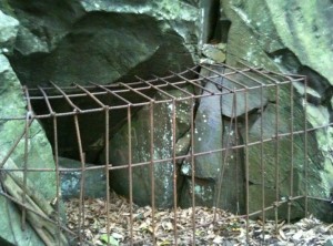 The image shows a rusted metal cage placed in front of a rocky cave entrance. The ground around the cage is covered with dry leaves and small twigs. The rocks surrounding the cave are large and have a greenish tint, possibly due to moss or algae growth. The cage appears old and weathered.