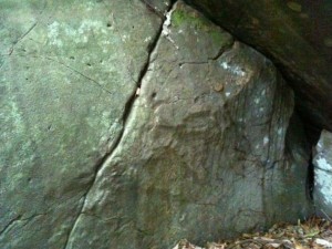 The image shows a close-up view of a large rock or boulder with a rough, uneven surface. The rock has visible cracks and crevices, and there are some small patches of moss or lichen growing on it. The ground around the rock is covered with dry leaves and twigs. The lighting is dim, suggesting that the photo might have been taken in a shaded area or during an overcast day.