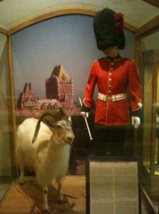 The image shows a museum display featuring a mannequin dressed in a traditional British guard uniform, complete with a red coat and tall black bearskin hat. Next to the mannequin is a taxidermy goat with large curved horns, adorned with a decorative headpiece. The background of the display includes an image of a historic building. There is also an informational plaque in front of the display.