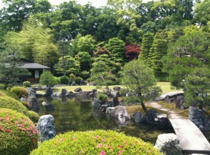 The image shows a serene Japanese garden with a variety of lush green trees and shrubs. There is a small pond with rocks and a stone pathway crossing over it. In the background, there is a traditional Japanese building partially obscured by the foliage. The garden is well-maintained and exudes a peaceful atmosphere.