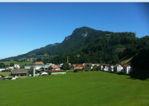 A small village with white and red-roofed houses is nestled in a lush green valley. The village is surrounded by expansive green fields and dense forests. In the background, there is a large, forested mountain under a clear blue sky.